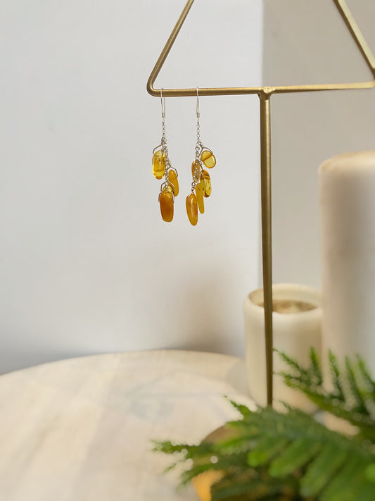 Baltic Amber Earrings